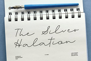 The Silver Halation Modern Script, a Script Font by Anastasiia VNSK
