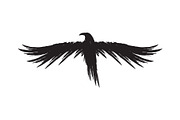 Black raven crow body and wings., an Object Graphic by DeShoff Art (Thumbnail 8 of 8)