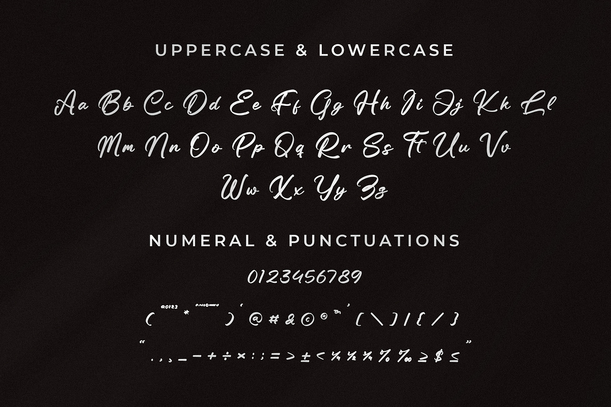 Neckaratt, a Script Font by Integritype Studio (Photo 9 of 15)