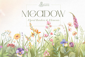 Meadow. Floral Borders & Elements