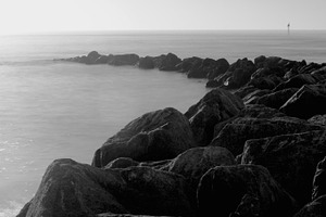 On the rocks stock photo containing naples and florida