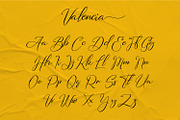 Valencia Font | Script Tropical Font, a Script Font by WhymoreArt (Thumbnail 9 of 10)
