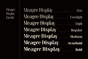 Meagre Display - 90s  Serif Family, a Serif Font by Holyline Design (Thumbnail 2 of 15)