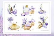Lavender. Watercolor clip art., a Decorative Illustration by Farida Bik (Thumbnail 4 of 14)