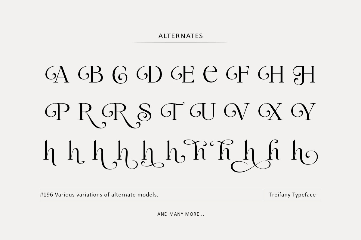 Treifany, a Serif Font by Attract Studio (Photo 18 of 20)