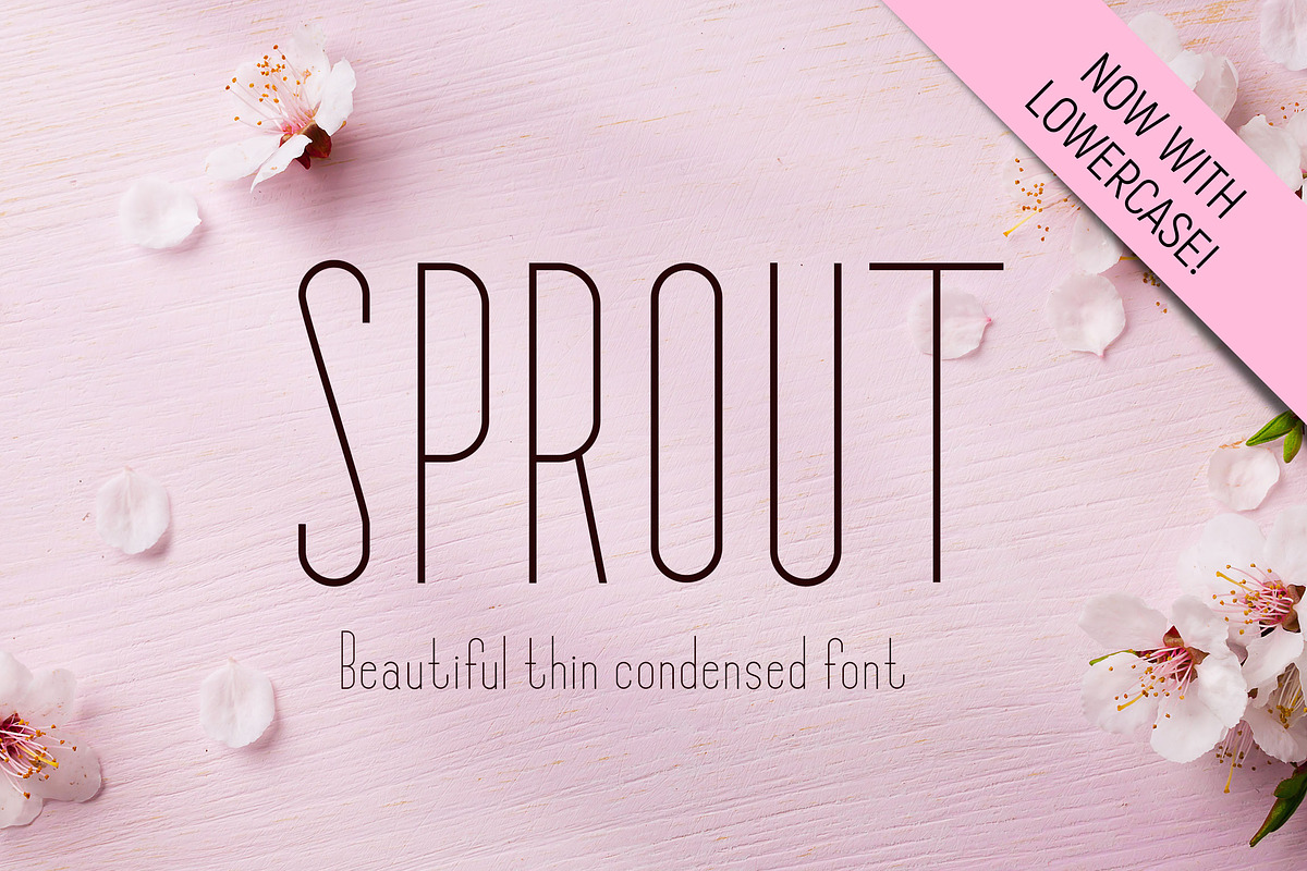 Elegant - Font Collection - 7 Fonts, a Sans Serif Font by CorgiAstronaut (Photo 19 of 41)