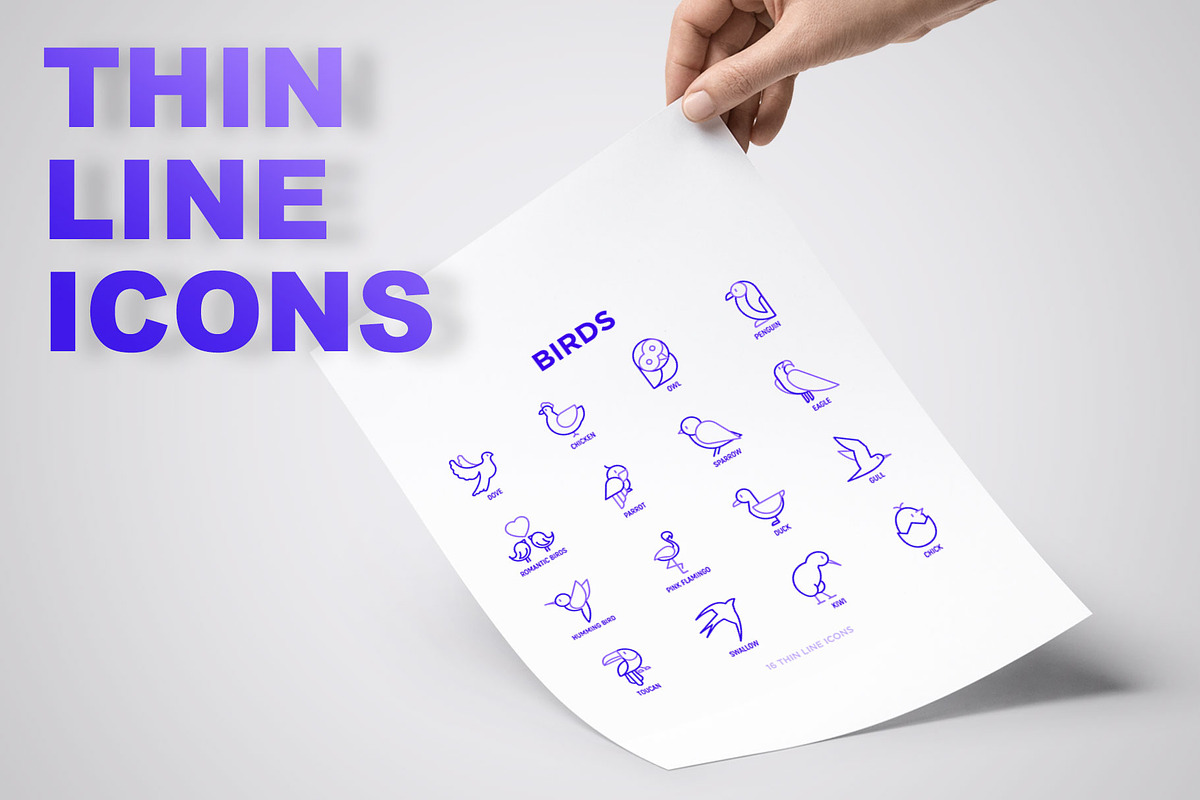 Birds | 16 Thin Line Icons Set, an Outline Icon by Alex Blogoodf (Photo 3 of 7)