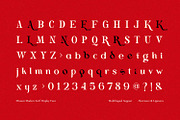 Mistont - Beautiful Serif Font, a Serif Font by Imoodev (Thumbnail 5 of 5)