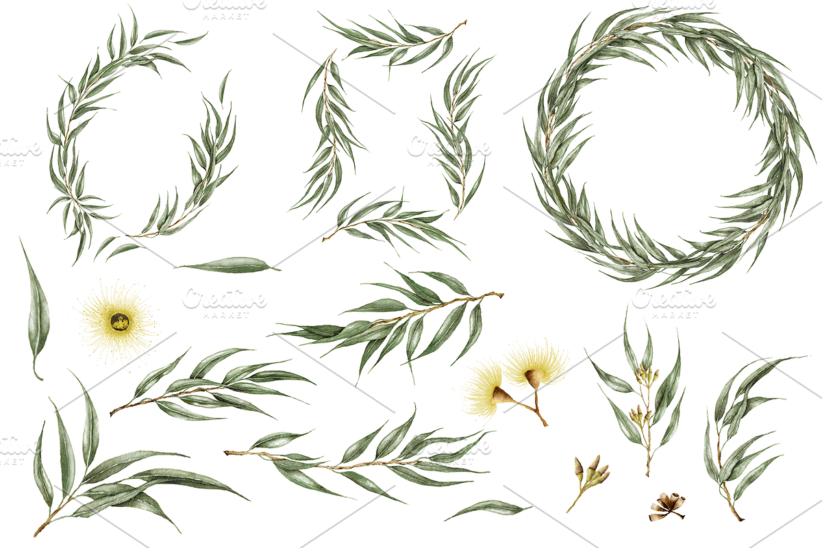 Eucalyptus Watercolor Illustrations, a Decorative Illustration by DioFlow (Photo 5 of 11)