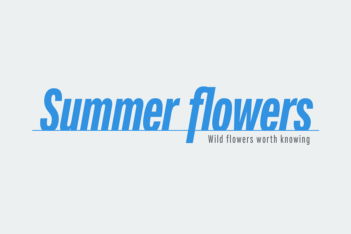 Fairweather preview 3