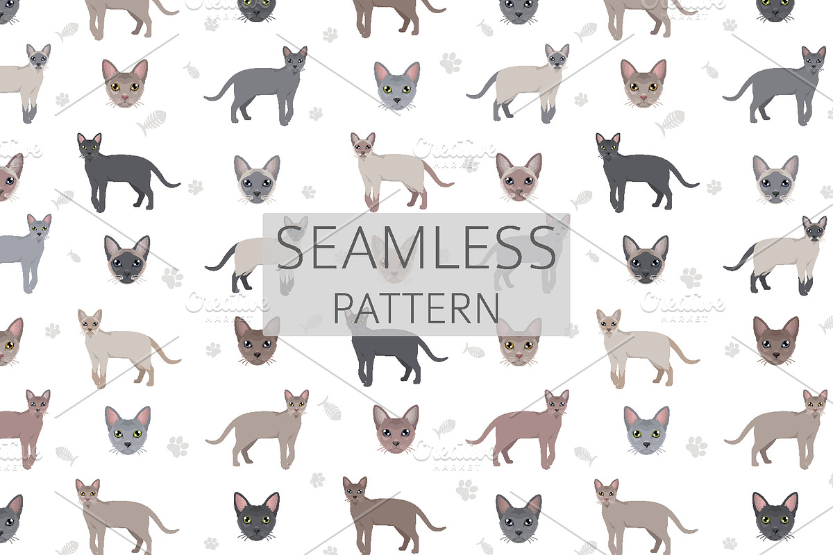 Thai Lilac cat, an Animal Illustration by pet design shop (Photo 6 of 6)