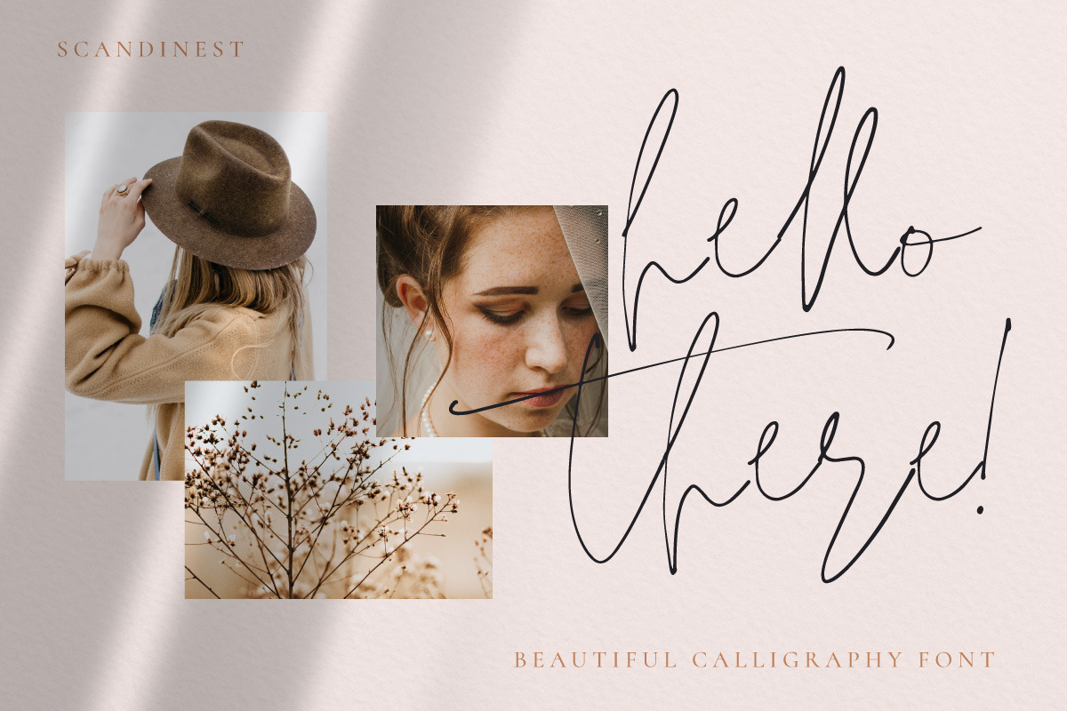 Scandinest - Signature With Ligature, a Script Font by Dirtytemp Studio (Photo 3 of 16)