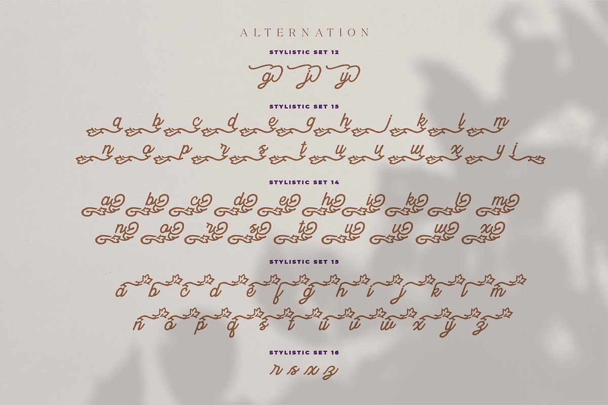 Dianthus Maiden Typeface, a Script Font by alit design (Photo 14 of 17)
