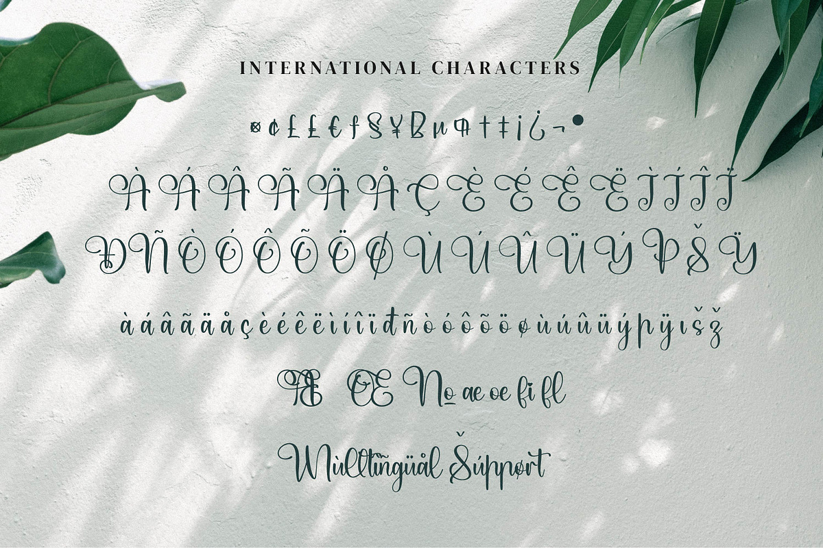Qianetta, a Script Font by Integritype Studio (Photo 10 of 15)
