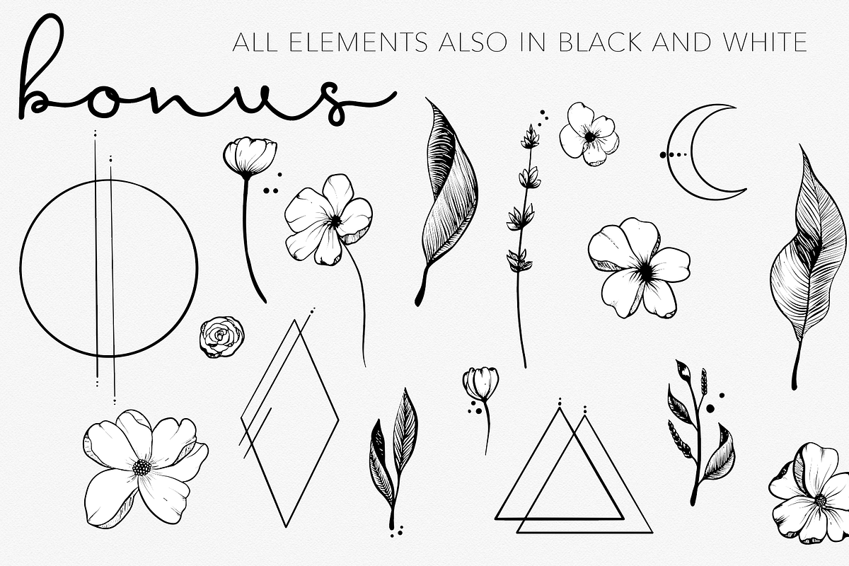 GOLD & BLACK INK BOTANICAL FLORALS, an Illustration by Wooly Pronto (Photo 3 of 9)