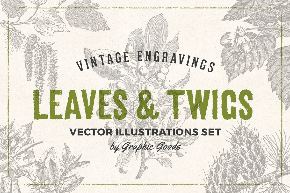 Leaves & Twigs Vintage Illustrations, an Illustration by Graphic Goods (Photo 1 of 10)