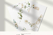 Watercolor White Flowers Collection, a Decorative Illustration by Damian Roh (Thumbnail 8 of 16)