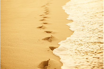 Footprints in the sand, a Nature Photo by Nature and travel