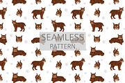 European wild cats clipart, an Animal Illustration by pet design shop (Thumbnail 8 of 10)