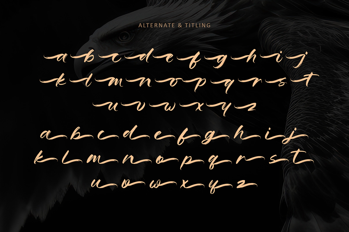 Eagle Horizon, a Handwritten Font by Letterara (Photo 11 of 13)