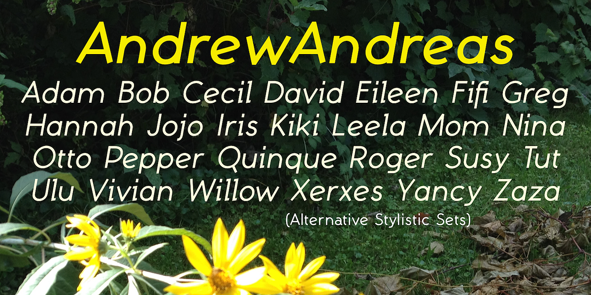 AndrewAndreas, a Sans Serif Font by Ingrimayne Type (Photo 4 of 8)