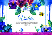 Violets floral collection PSD&PNG, a Decorative Illustration by denisespinoza (Thumbnail 2 of 4)