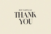 Pallmer Vallerin Elegant Serif Font, a Serif Font by Alfinart (Thumbnail 9 of 9)
