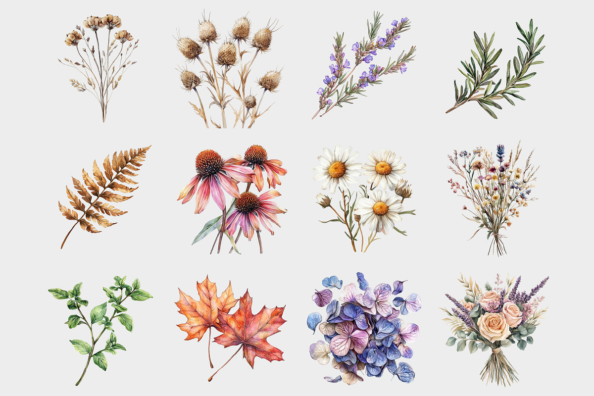 Watercolor Dry Herbs Clipart, a Seasonal Illustration by Design Market (Photo 3 of 4)