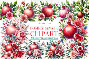 Watercolor Pomegranate Clipart, an Illustration by Designworld