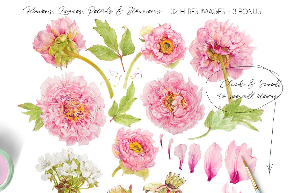 Pink Peonies-Clipart Set, an Illustration by watercolorwild.graphics (Photo 2 of 9)