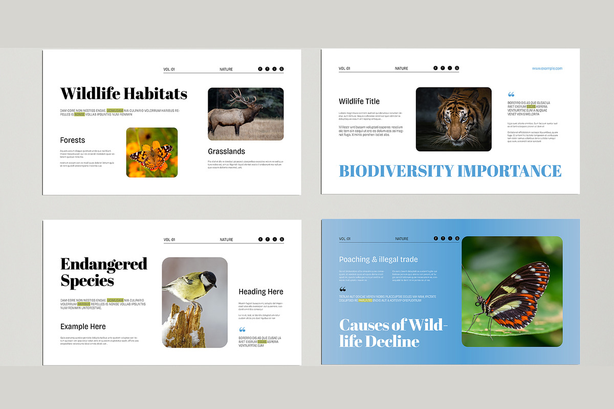 Wildlife Presentation Template, a Presentation Template by MightyDesign (Photo 3 of 8)