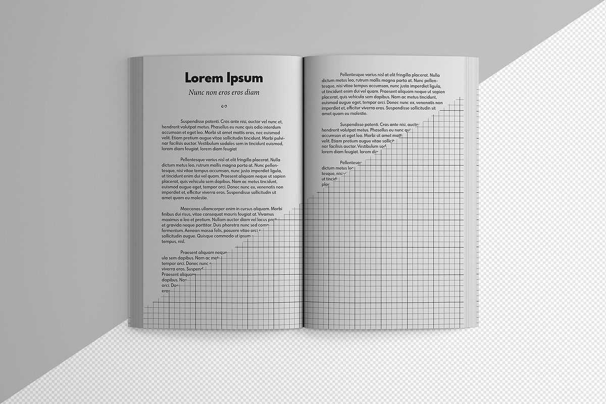 Mass-market Paperback Book Mockup, a Books & Magazine Mockup by Illusiongraphic (Photo 11 of 23)
