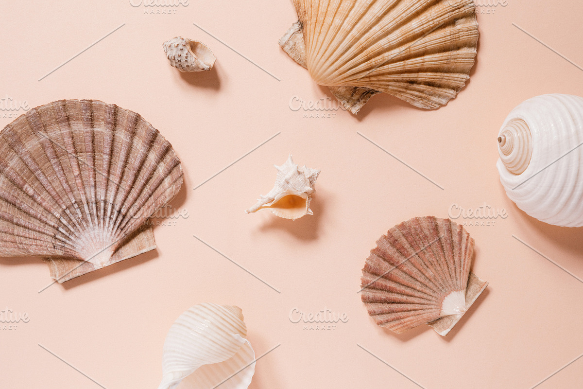 Coral Stock Photo & Mockup Bundle, a Product Mockup by Moyo Studio (Photo 12 of 12)