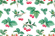 Watercolor berries kit, a Food Illustration by Sundra (Thumbnail 6 of 11)