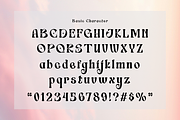 Switella - Modern Decorative Font, a Serif Font by TypeClassHeroes (Thumbnail 8 of 10)