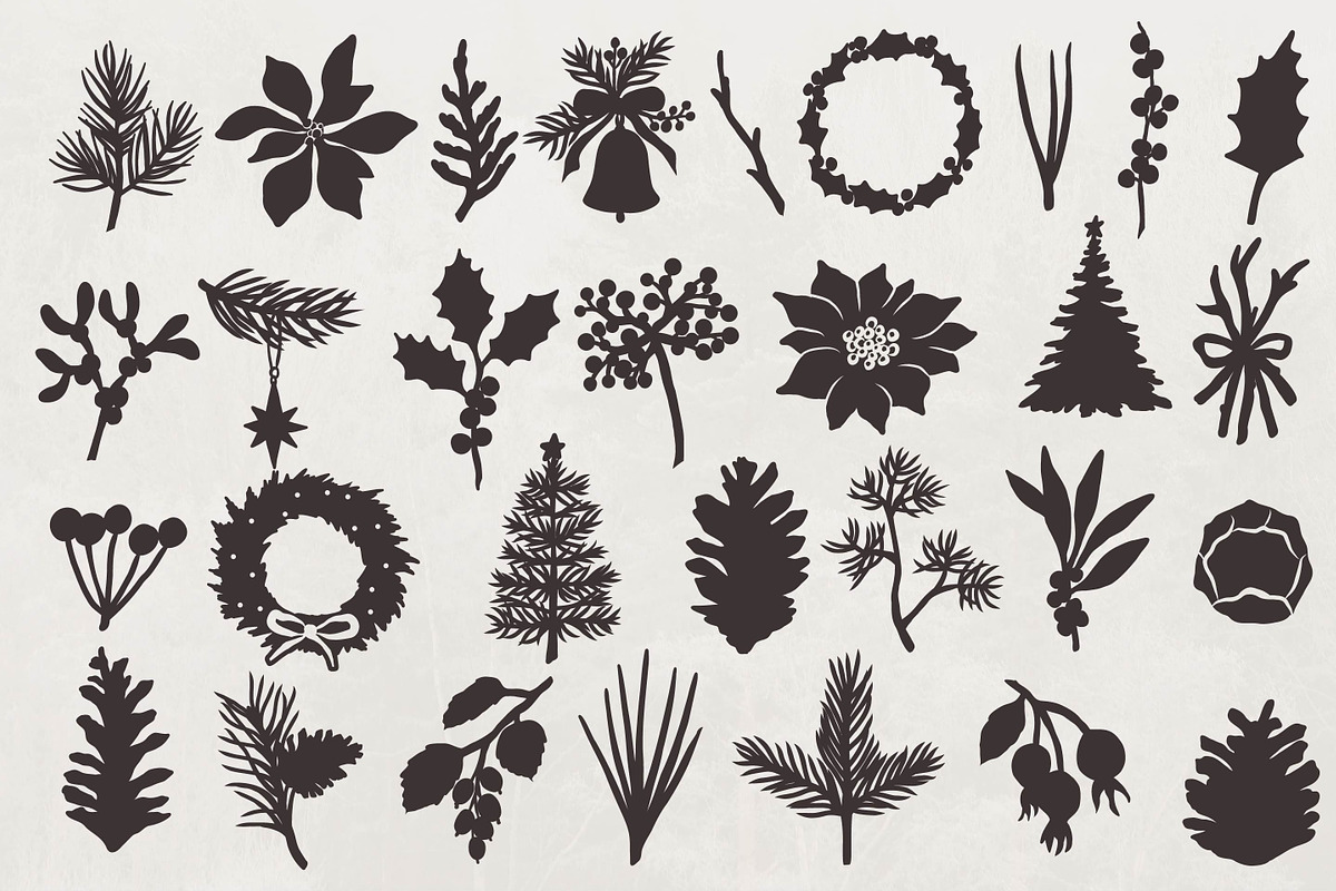 Winter Botanicals Clipart, a Seasonal Illustration by RaDavCrafts (Photo 4 of 12)