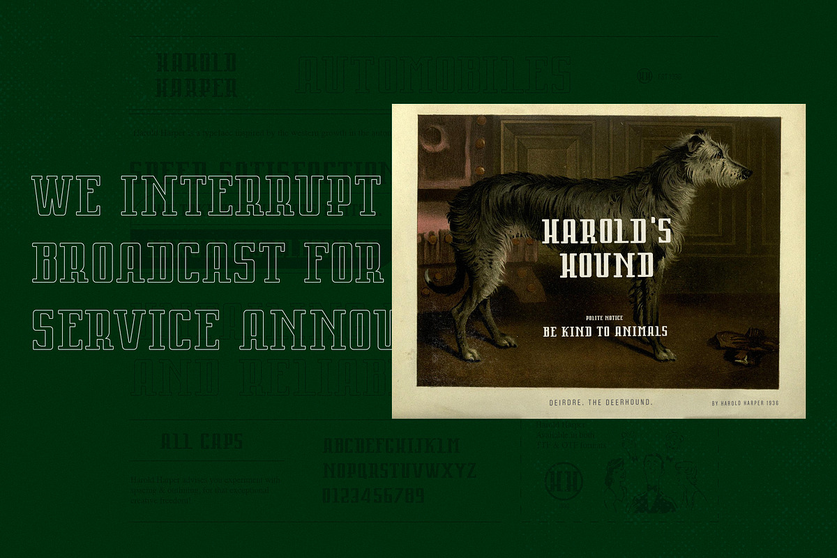 Harold Harper preview 4