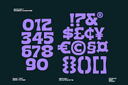 Rapid ( New Font ), a Serif Font by HRDR (Thumbnail 10 of 11)