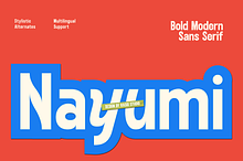 Nayumi Bold Modern Sans Font