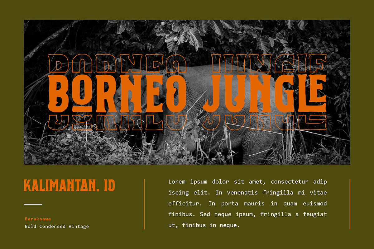 Baraksawa - Bold Condensed Vintage, a Font by Mantra Naga (Photo 8 of 10)