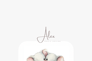 18 Baby Elephant Clipart, an Animal Illustration by Pati Charm Studio (Thumbnail 6 of 8)