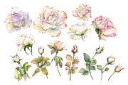 Romantic Watercolor Rose Clipart, a Decorative Illustration by Jeanna Draw (Thumbnail 10 of 17)