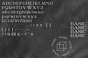 DIGITANY, a Serif Font by Bagerich Type Foundry (Thumbnail 2 of 9)