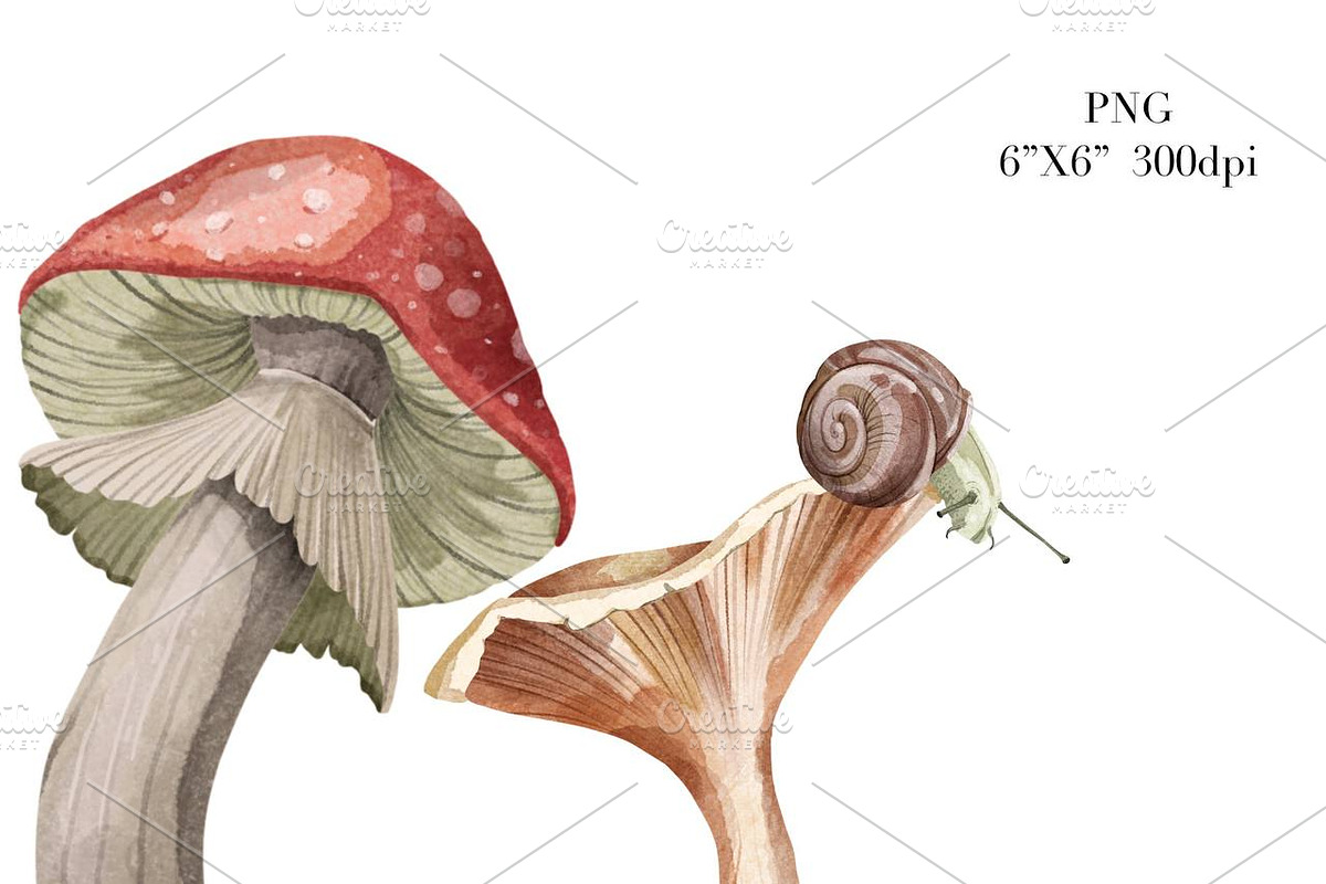 Watercolor Mushrooms Clipart, a Decorative Illustration by NKTKNS (Photo 5 of 6)
