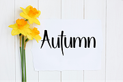 Creative Woman, a Handwritten Font by InermediaSTUDIO (Thumbnail 7 of 8)