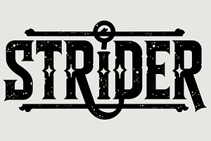 Strider - Bold Serif Display