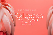 Rollgates Modern Sans, a Sans Serif Font by Cotbada_studio (Thumbnail 1 of 10)