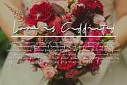 Hole script, a Script Font by LetterStock (Thumbnail 4 of 8)