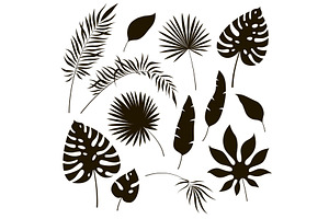 Tropical Leaves Silhouettes. Black