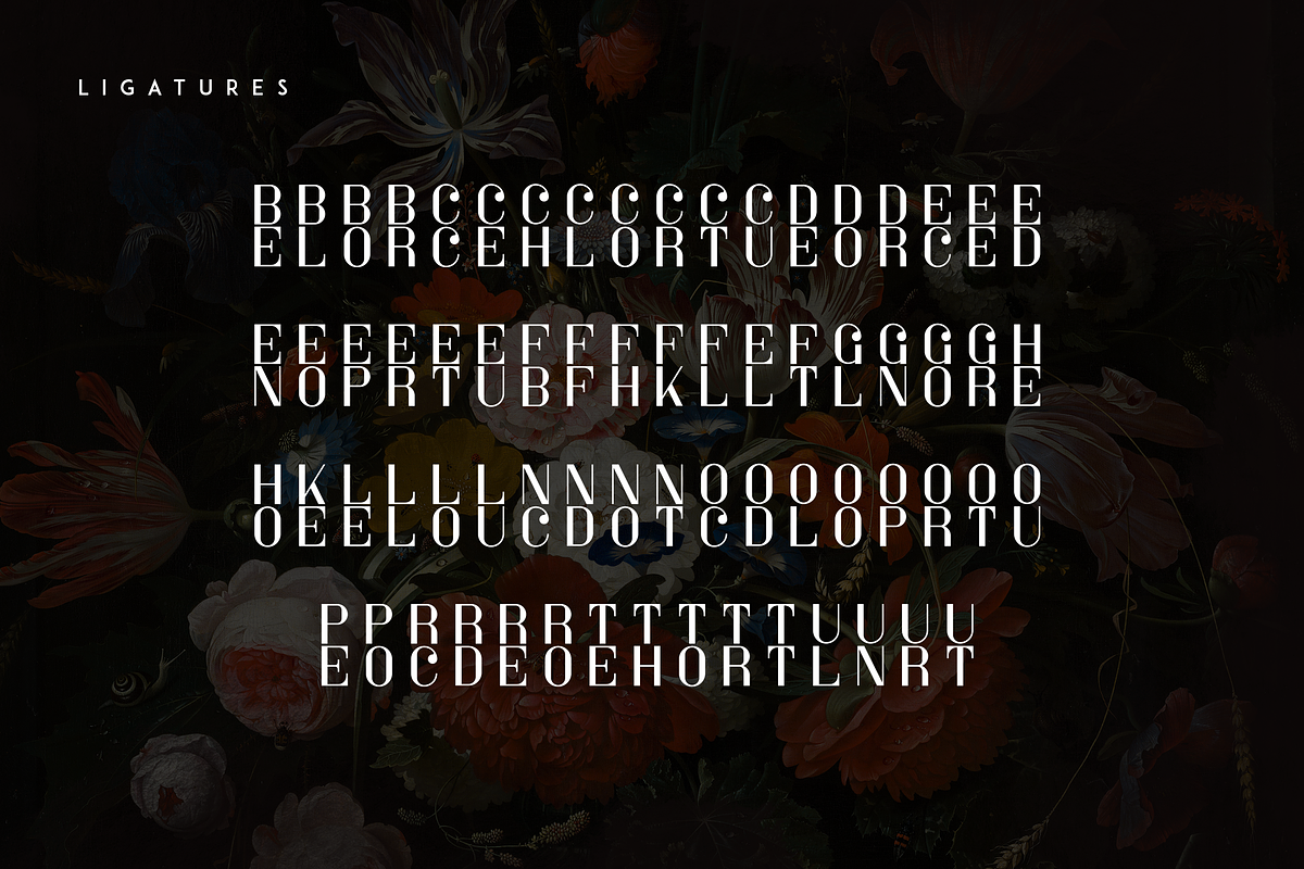 Sorcha Display font + Swashes, a Font by VP Fonts (Photo 10 of 14)